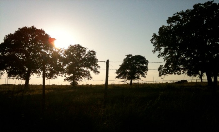 Paradise, Texas June Sunset