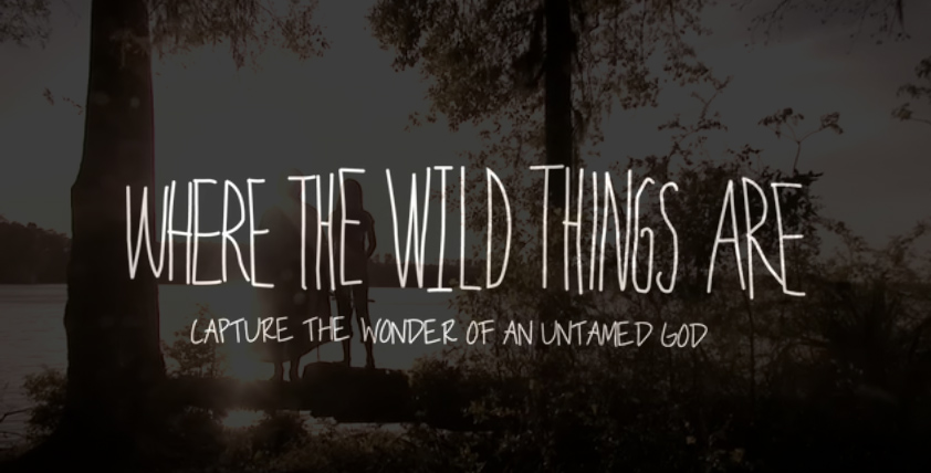 WildthingsAre