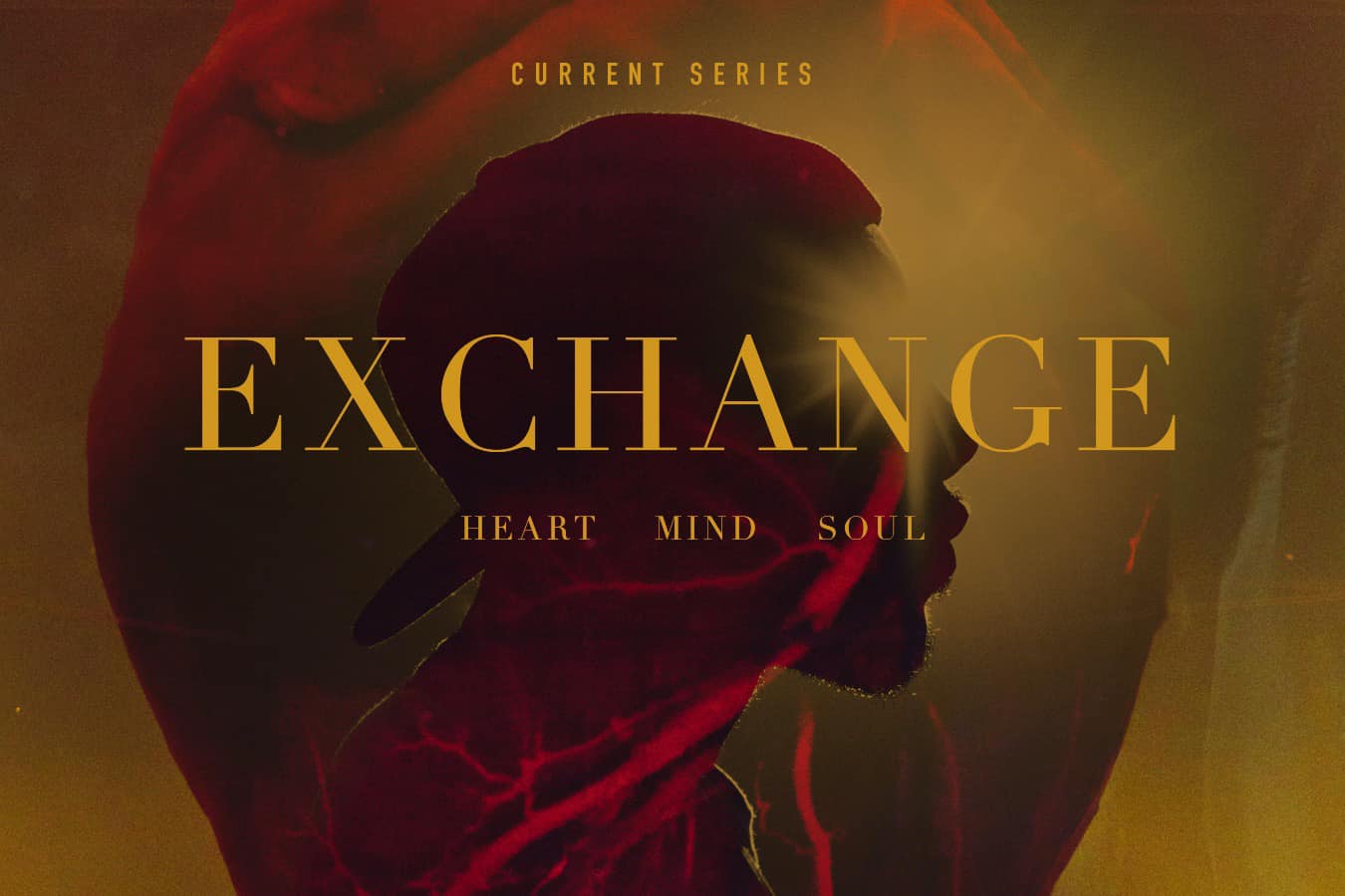 88276944_10156811303070969_7016069372846276608_o